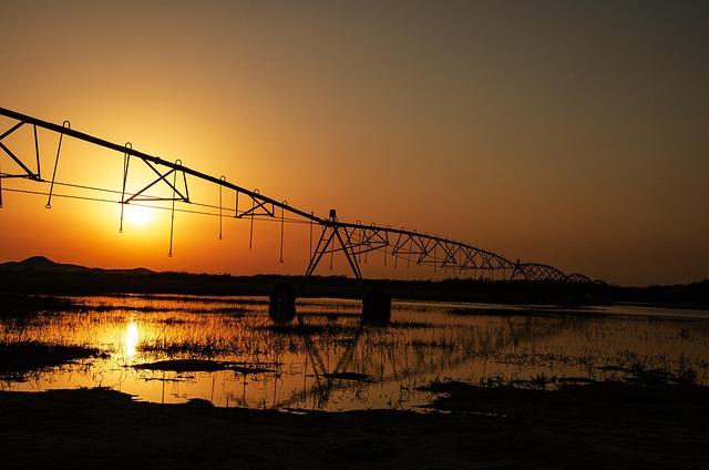 Exploring Saudi Arabia: A Comprehensive Travel Guide to Culture, Cuisine, and Hidden Gems