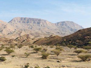 Muscat Marvels: The Ultimate Travel Guide to Oman&rsquo;s Captivating Capital and Rich Heritage