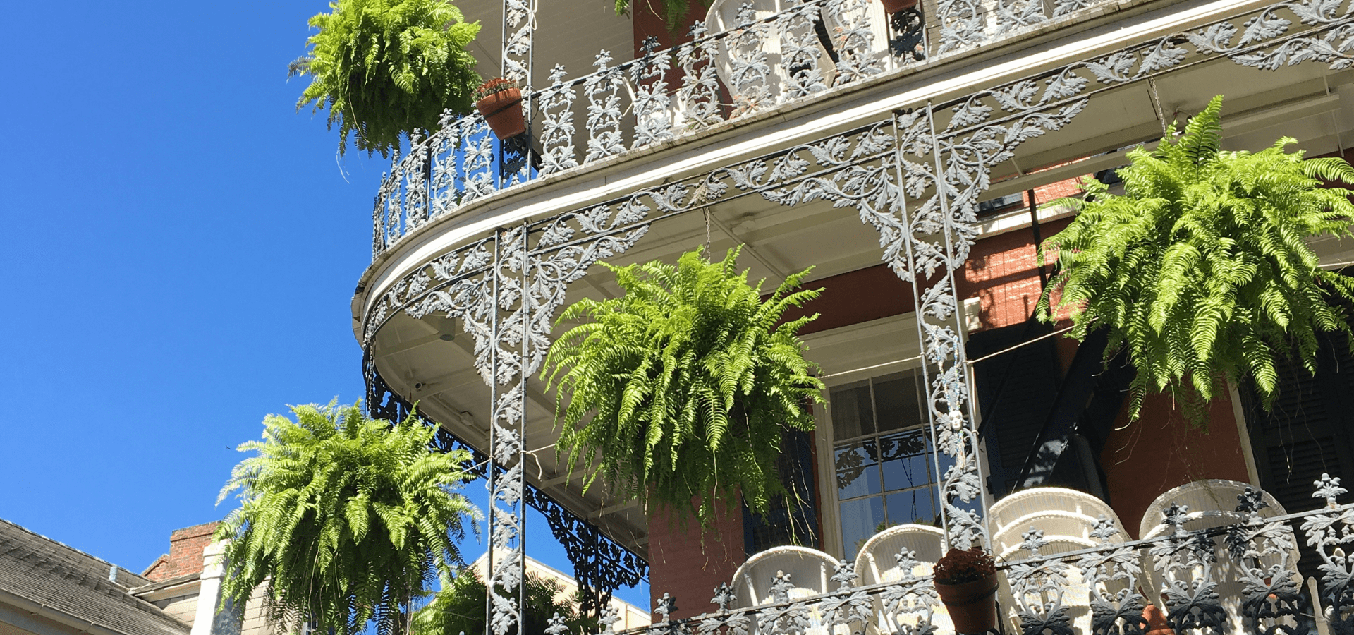 Louisiana Discovery: Your Comprehensive Travel Guide to the Bayou State's Culture and Charm